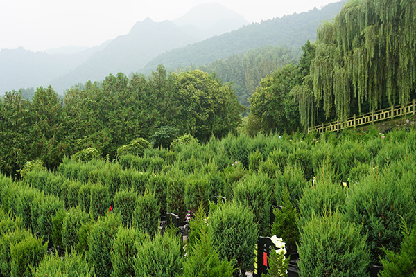 西安户县九龙山墓园环境怎么样？西安九龙山墓地价格贵不？