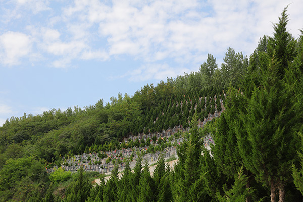 高桥墓园在什么地方怎么去有班车吗？西安高桥墓园墓地价格多少钱