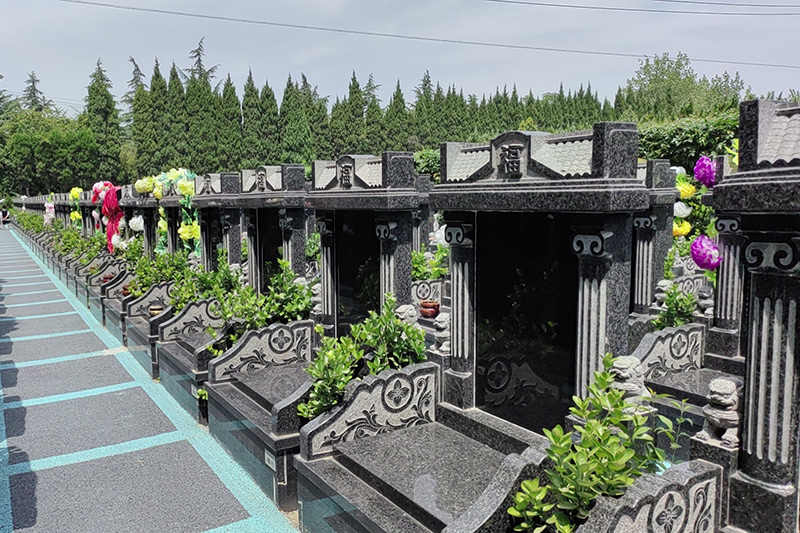墓区实拍 墓区实拍