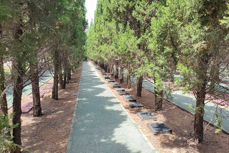 树葬墓区 树葬墓区