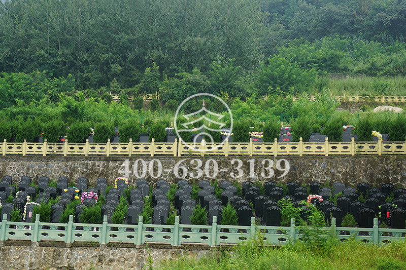 九龙山公墓墓区景观