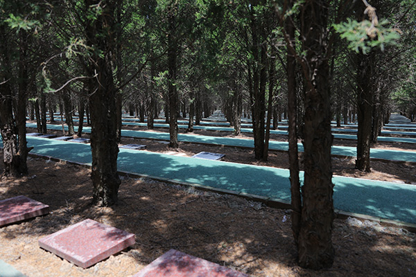 西安优质树葬墓园有哪几家?西安哪里有树葬墓地分布?价格多少钱