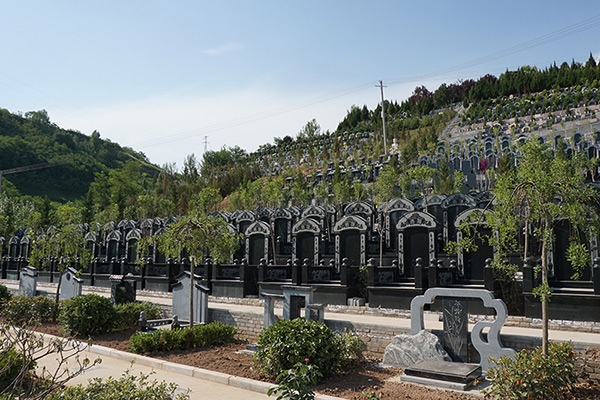 价格差不多,买霸陵陵园新区的树葬还是选白鹿原公墓的立碑呢?