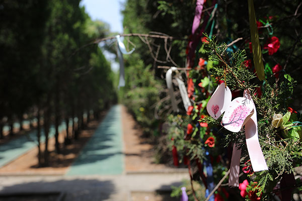 西安优质树葬墓园有哪些?哪家更适合?